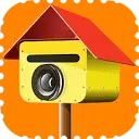 Picture Postie